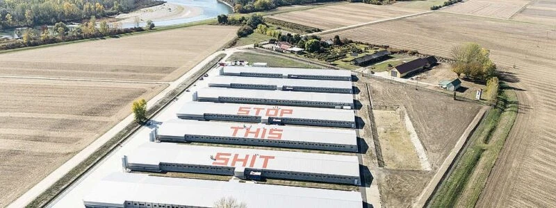 Greenpeace провів акцію протесту проти птахофабрики української компанії МХП у Хорватії